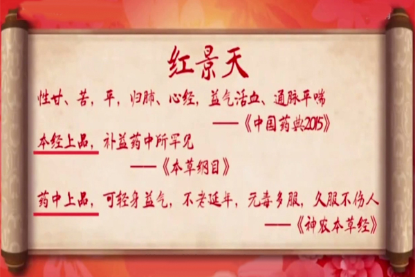 醫(yī)身學(xué)堂——紅景天-2021版