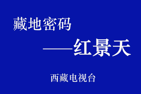 藏地密碼——紅景天(精編版)