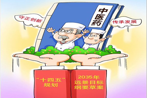兩會新華時評:中醫藥大發展正逢其時