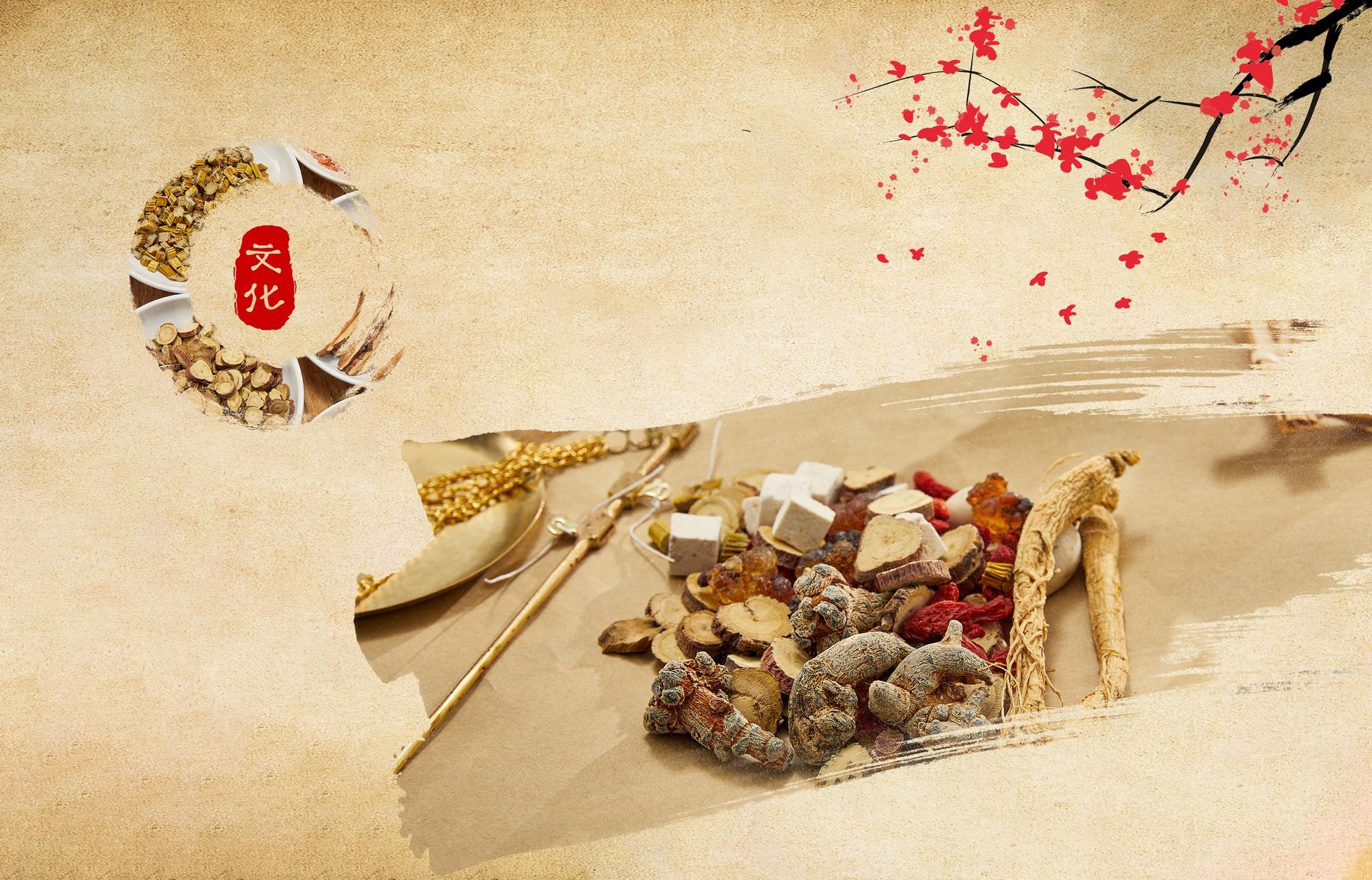 把中醫(yī)藥振興發(fā)展寫入民族復興華章